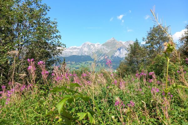 Auf dem Klangweg Toggenburg