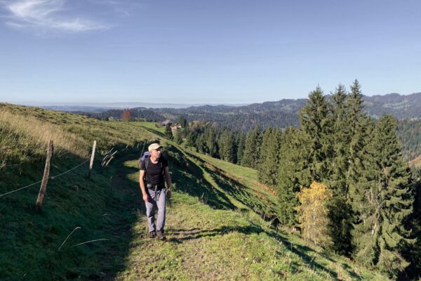 Aussichtsreich vom Napfgebiet ins Entlebuch