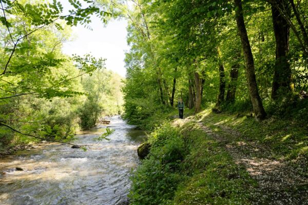 Leçon d’histoire entre Miglieglia et Breno