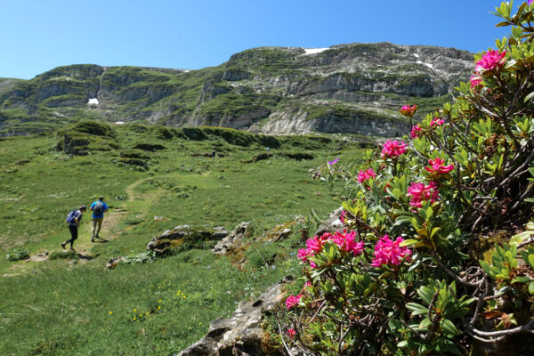Paysage karstique jusqu’au Chäserrugg