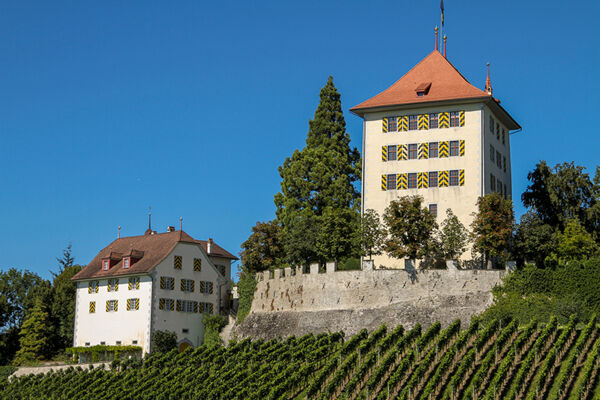 Von Schloss Hallwyl nach Schloss Heidegg