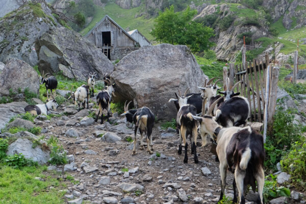 La vallée sauvage de l’Erstfeldertal