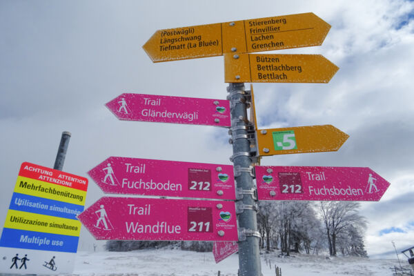 Schneeschuhtour auf dem Grenchenberg
