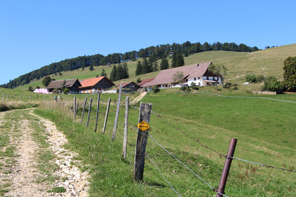 Höhenwanderung über die dritte Jurakette