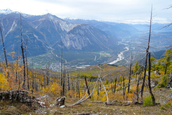 Zone d’incendie de forêt au-dessus de Loèche