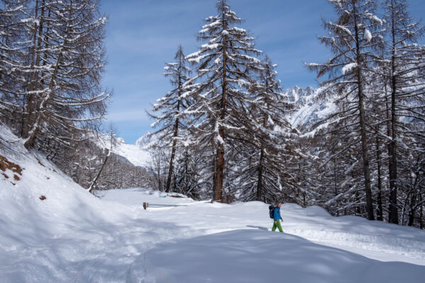 Winterzauber im Lötschental