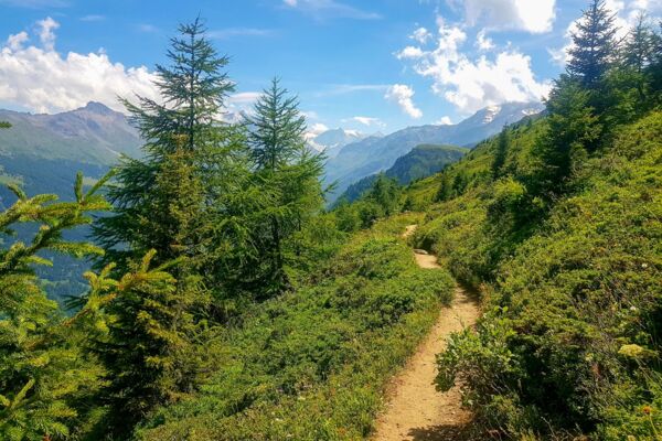 Le Mont Rouge, le grand sommet des petits marcheurs