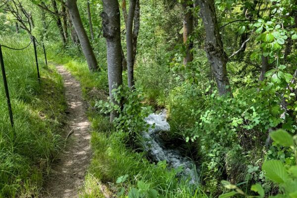 Castagneti, un ponte sospeso e charme urbano