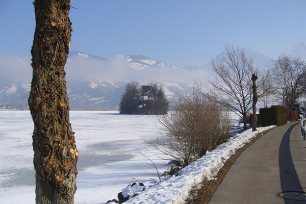 Gefrorenes Wasser