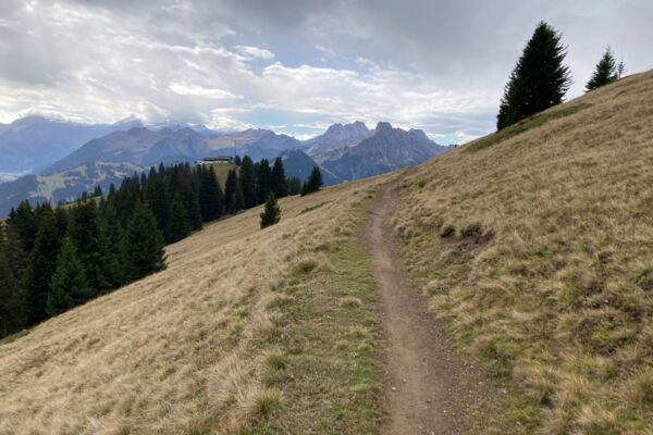 Sur les hauteurs du Saanenland