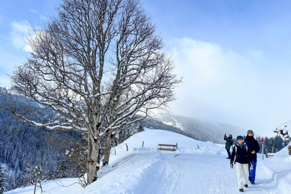 Hiver idyllique près de Gstaad