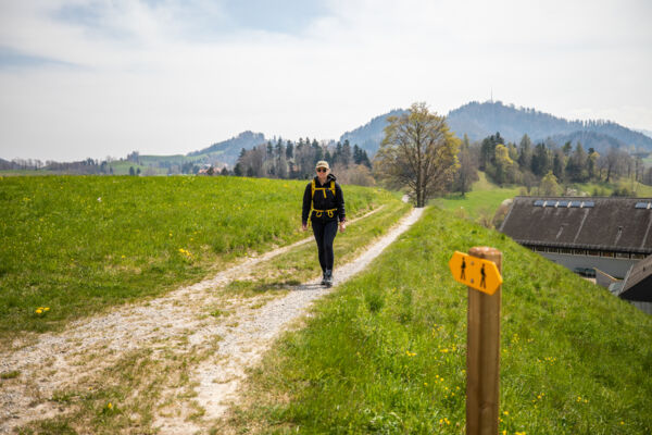 Vom Tösstal aufs Hörnli