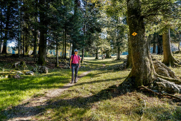 Im Jura zwischen Sonvilier und Le Noirmont