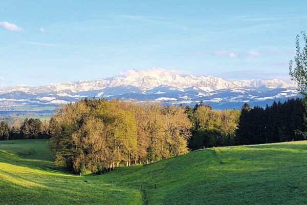 Gemeinsame Wanderung mit Blinden und sehbehinderten Menschen