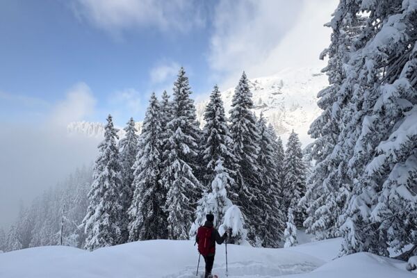Sortie aisée sur la pittoresque Mettmenalp