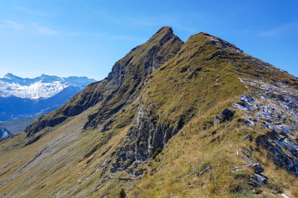 Vue au sommet dans le Diemtigtal