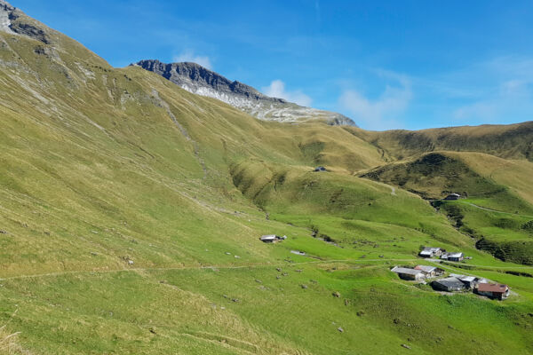 Gipfelerlebnis im Diemtigtal