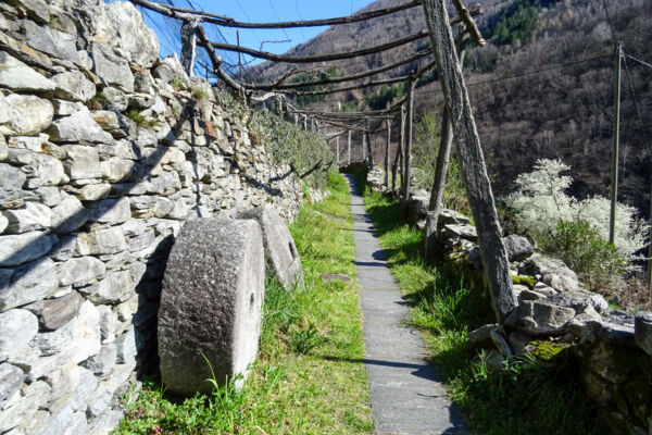 Sur les pentes ensoleillées des Centovalli