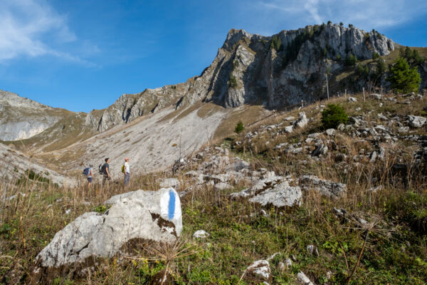 Dans les Préalpes fribourgeoises