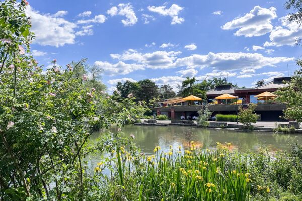Au printemps près du canal de Sankt Alban