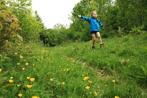 Unterwegs im Räuberwald