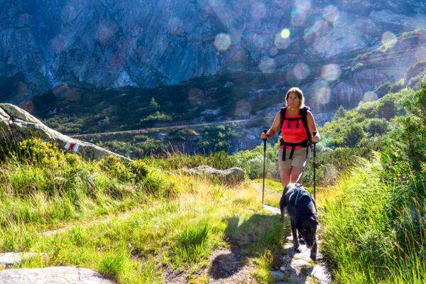 Betriebsamkeit und Ruhe am Grimselpass