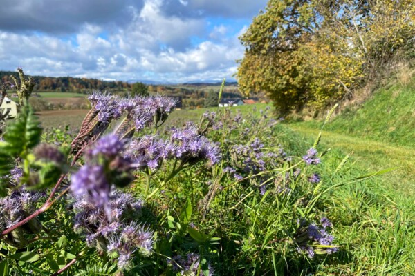 Sur les traces d’un des plus célèbres peintres vaudois