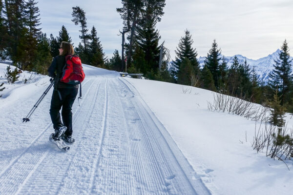 Chüematten-Trail am Niederhorn