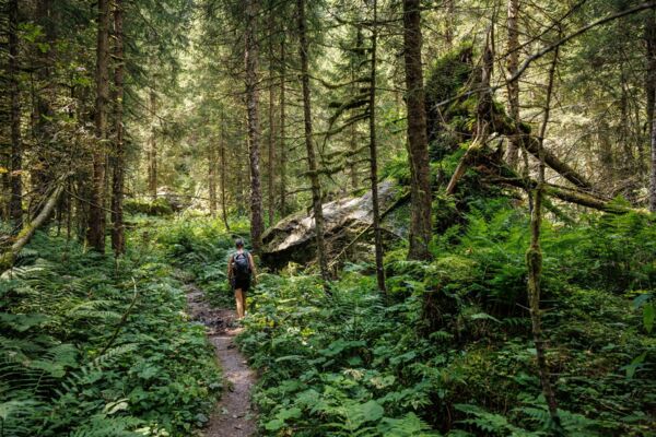Murgseen (****/T2) Anmeldung ab 29. Juni möglich