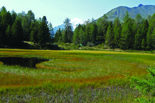 Bergpanorama pur auf der Moosalp