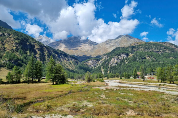 Durch das Val da Pila auf die Alp Grüm