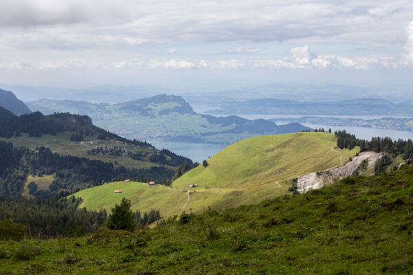 Auf dem Nidwaldner Wildbeobachtungspfad