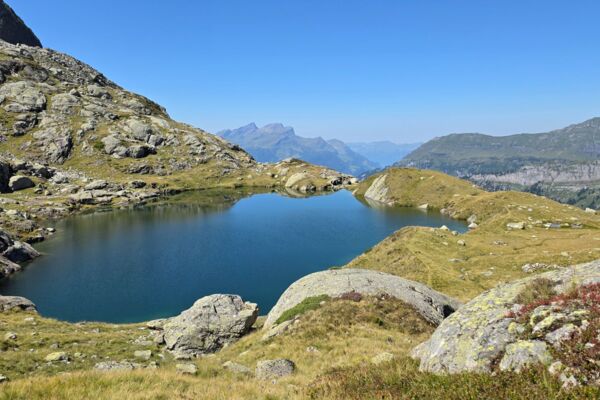 Goldvreneli am Gadenlouwisee