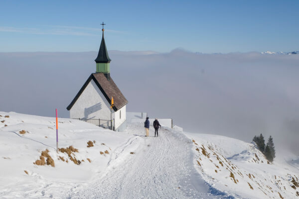 Le vaste panorama du Kronberg appenzellois