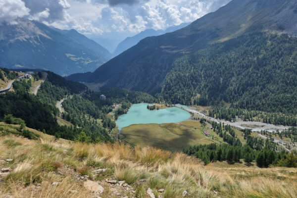 Sur le col de la Bernina via Alp Grüm