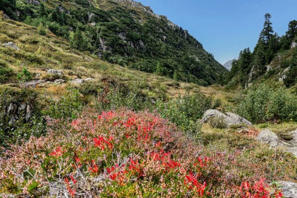 Le sentier muletier du Susten