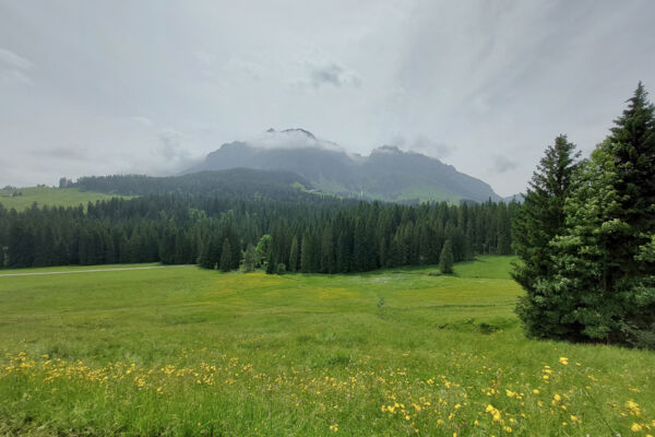 Tra l’Emmental e l’Oberland bernese