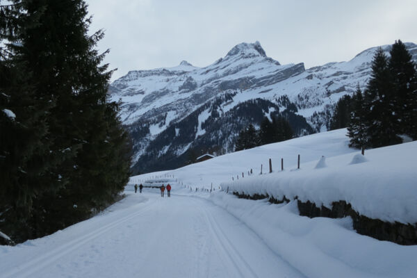 Dans la haute vallée des Diablerets