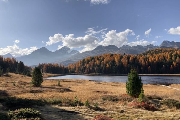 Randonnée près de lacs et mélèzes lumineux