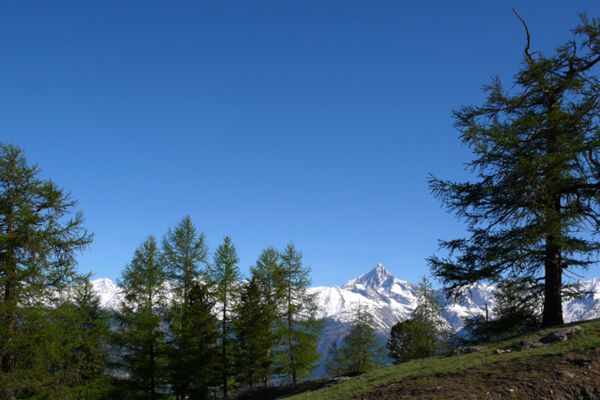 Dreizehntenhorn