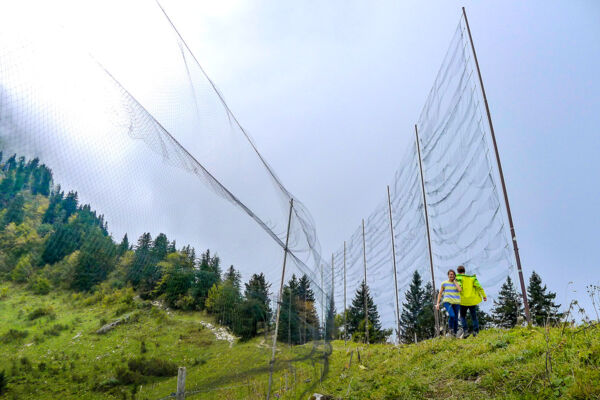 Passwanderung über den Col de Jaman