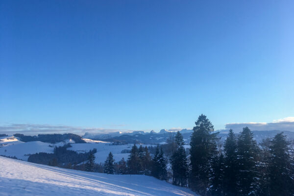 Winterlicher Schwarzwassergraben