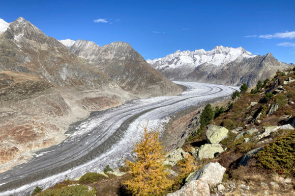 Hoch über dem Aletschgletscher