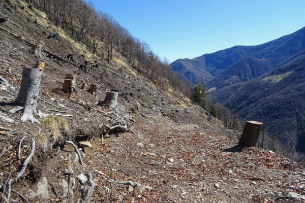Sur les pentes ensoleillées des Centovalli