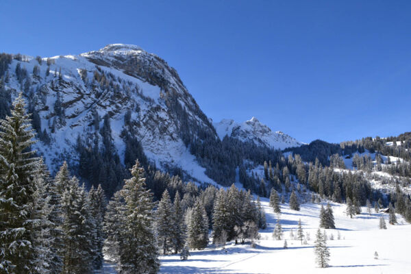 Encore plus de magie hivernale