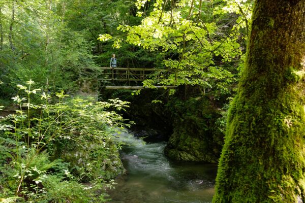 Leçon d’histoire entre Miglieglia et Breno