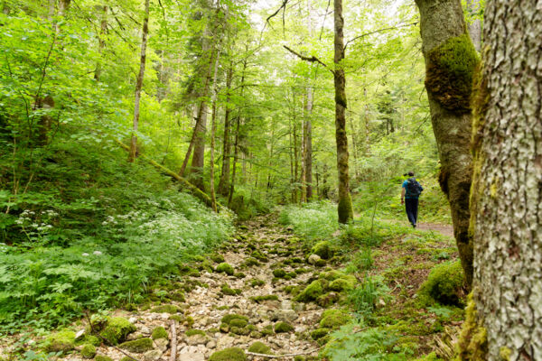 Dem Absinth auf der Spur im Val de Travers
