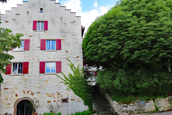 Boucle autour d’Osterfingen