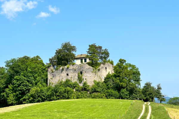 Von Burg zu Burg vor den Toren von Basel