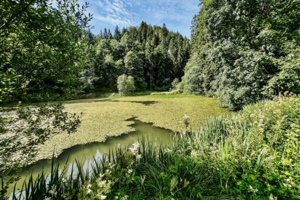 Au fil du Tabeillon dans les Franches Montagnes